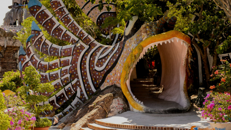 Take A Tour To The Unique Tri Nguyen Aquarium