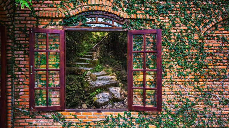 Explore The Natural Surroundings Around Yang Bay Waterfall