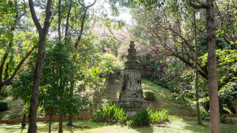 Scent Of Nature At Phnom Tamao