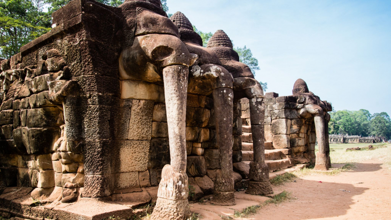 Admire Carved Elephants Adorning The Sandstone Walls