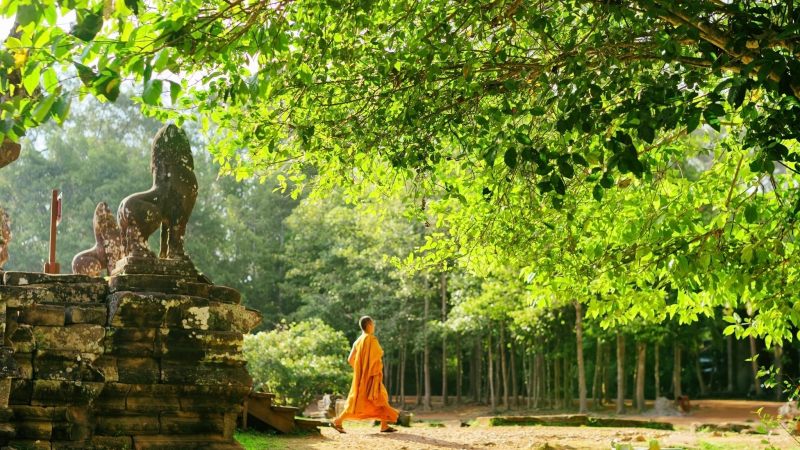 Discover Iconic Stone Faces In Bayon Temple