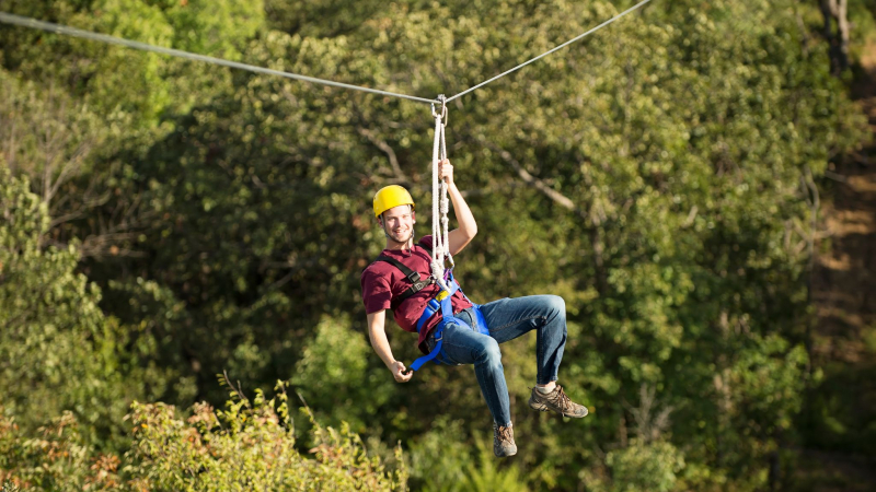 Immerse Yourself In The Beauty Of The Jungle