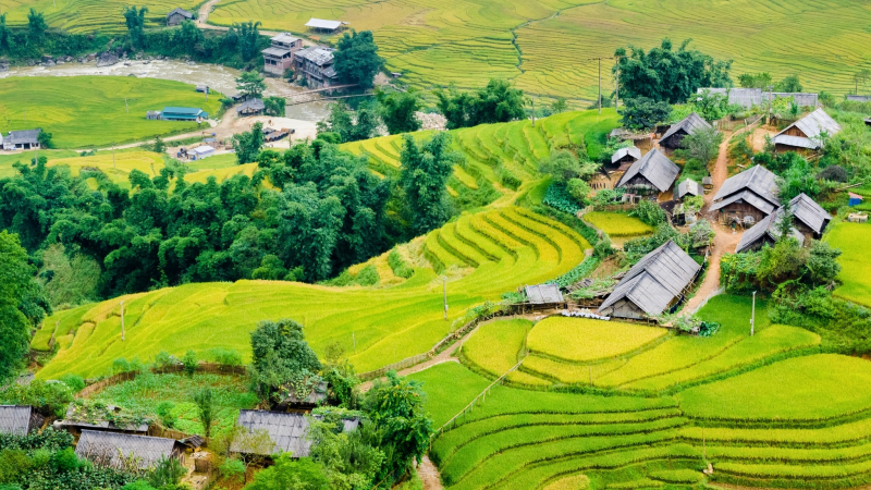 Stunning View Of Muong Hoa Valley