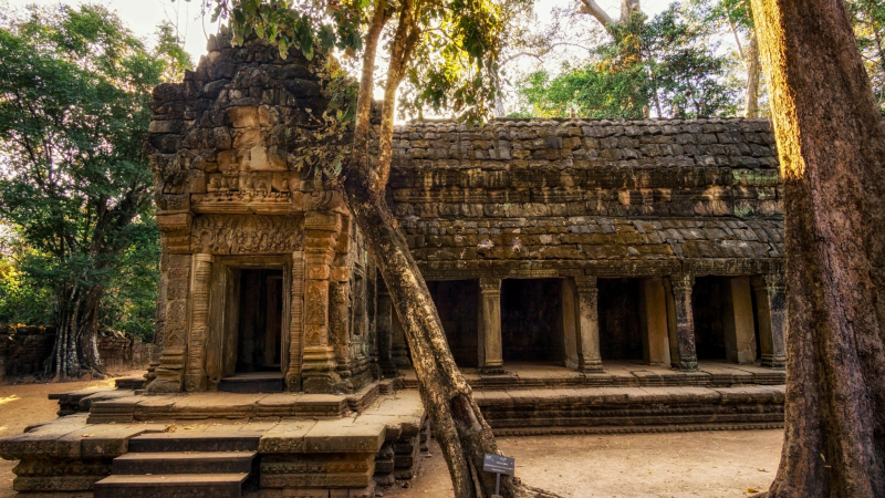 Inside Ta Prohm Temple