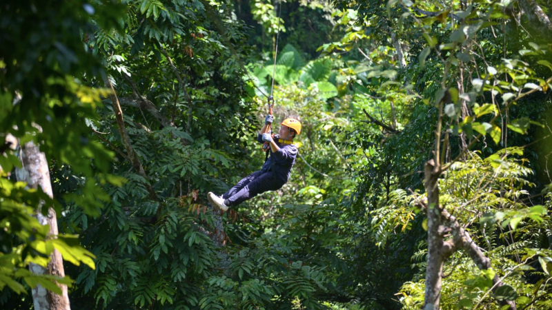 Zipline At Nahm Dong Park