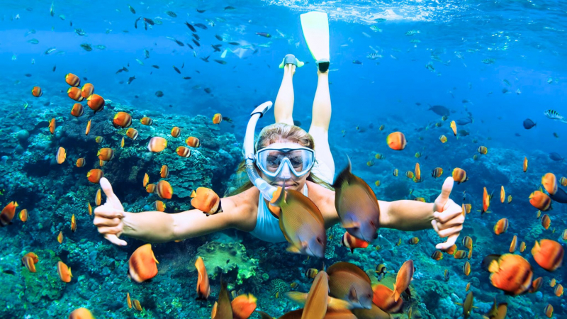 Koh Samui Luxury Beach Escape 7 Days