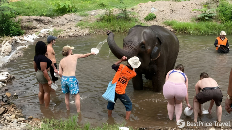 Day 5 Have A Glimpse Of Nature At The Elephant Rescue Park