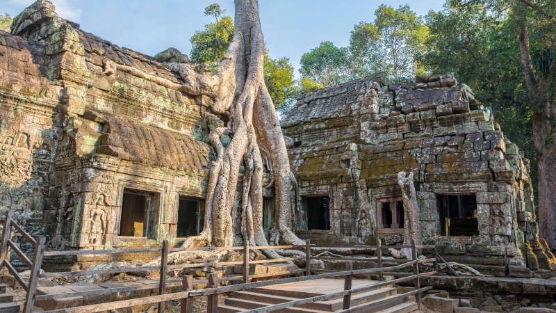 Day 2 Witness The Giant Tree Roots At Ta Prohm