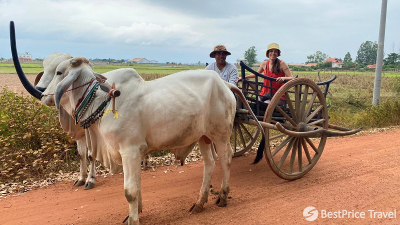 Day 3 Hop On An Ox Cart Ride