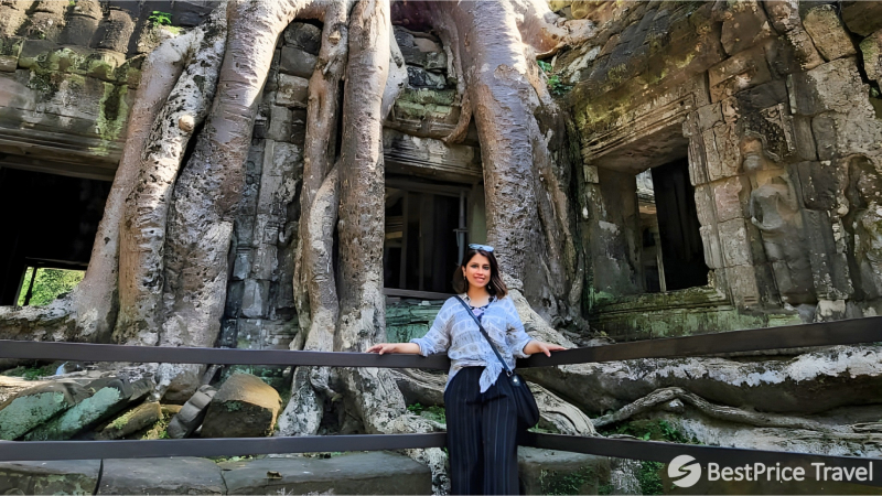 Day 2 Admire The Gigantic Tree Roots At Ta Prohm