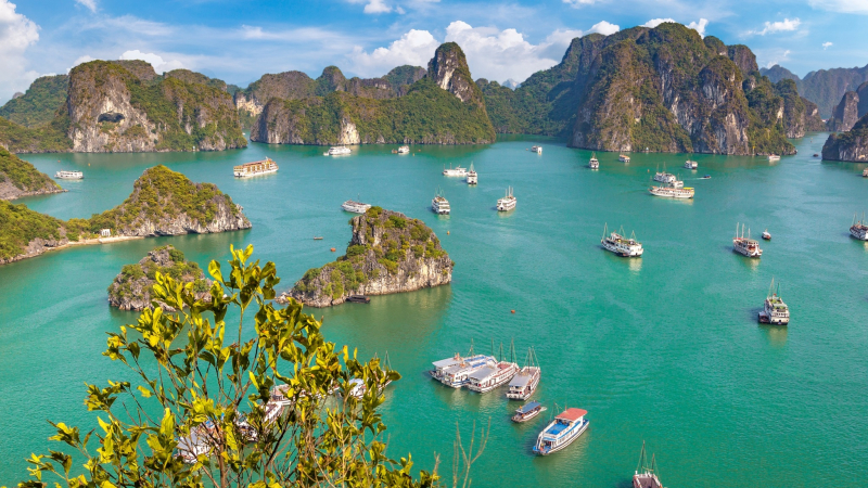 Day 12 Halong Bay The World Heritage