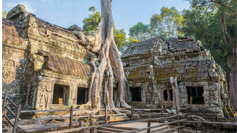 Day 13 The Hidden Beauty Of Ta Prohm Temple