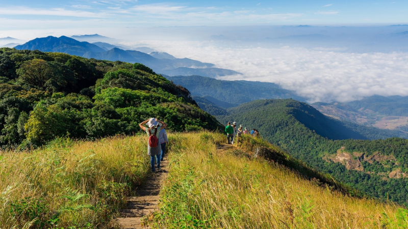 Day 20 Trekking Route At Doi Inthanon