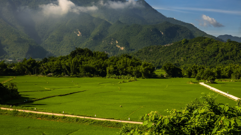 Day 13 Enjoy The Beauty Of Rice Fields In Mai Chau