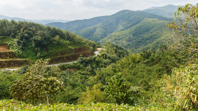 Day 7 Immerse In The Majestic Landscape Of Phongsaly