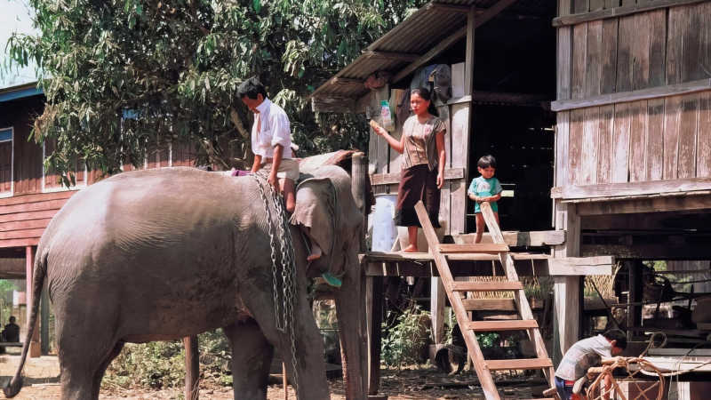 Day 13 Explore The Surrounding Village Of Ban Khiet Ngong