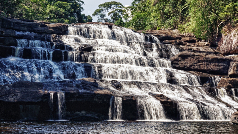 Day 2 Take Pictures With The Magnificent Tad Say