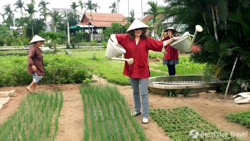 Day 11 Tourists Trying Hands On Farming Experiences In Tra Que Village