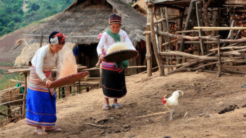 Day 5 Experience The Rich Traditions Of The Lahu Hill Tribe