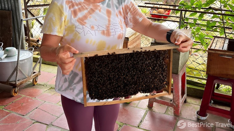 Day 2 Pay A Visit To The Bee Farm And Enjoy Fresh Honey Tea