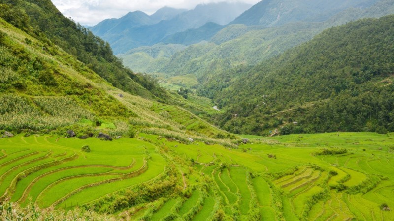 Day 9 Experience The Authentic Charm Of Sin Chai Village