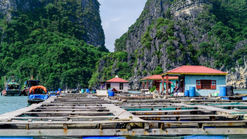 Day 11 Visit The Charming And Vibrant Fishing Villages