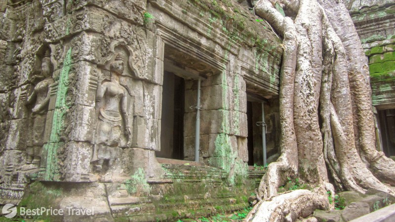 Day 18 Ta Prohm Enchanted Ruins Entwined With Lush Jungle