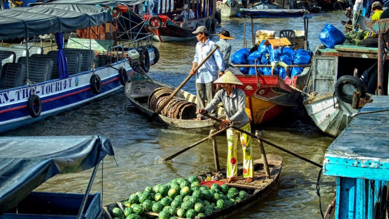 Day 3 The Bustling Life Of Cai Rang Floating Market