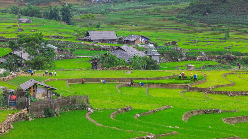 Day 3 Immerse In The Peaceful Scenery Of Ta Van Village