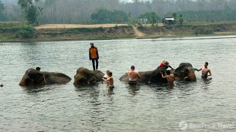 Day 10 Have The Chance To Interact With Lovely Elephants