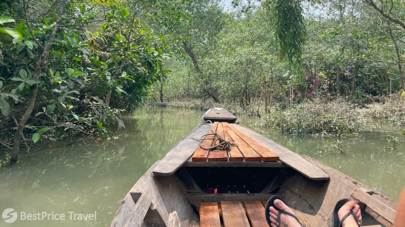 Day 8 Lost In The Tranquility Of The Mangrove Forest