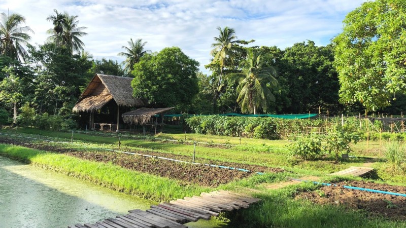 Day 3 Immerse Yourself In Traditional Thai Life At Patom Organic Village