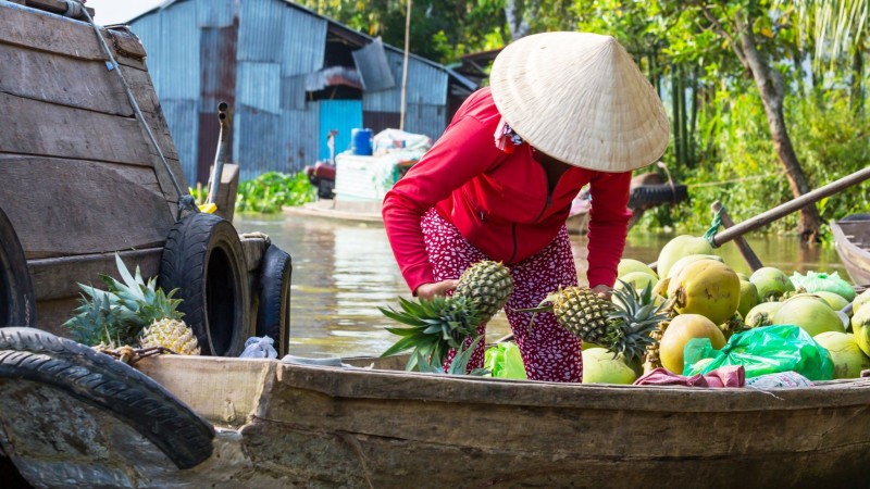 Day 6 Have The Chance To Try Multiple Fruits In Tan Phong Island