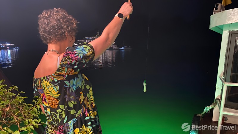Day 10 Experience The Fun Of Trying Night Squid Fishing