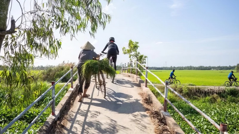 Day 2 Pedal Through Vibrant Rice Fields In The Countryside