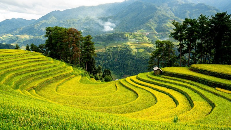 Day 5 Enjoy A Free Day In Sapa