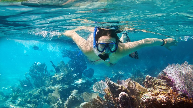 Day 6 Explore Vibrant Marine Life While Snorkeling In Nha Trang