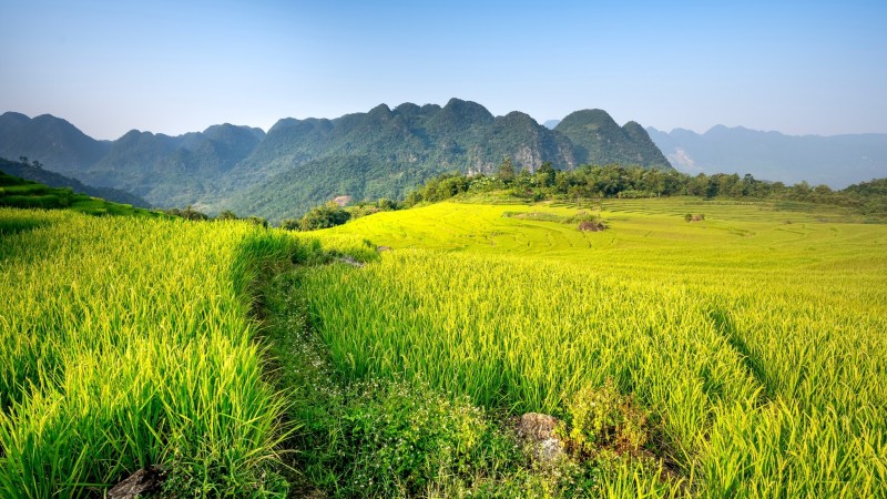Mai Chau to Pu Luong - Vietnam’s Mountain Escape 3 days