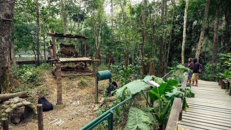 Pay A Visit To The Bear Rescue Centre (1)