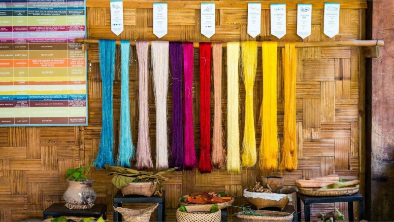 Learn About Silk Production