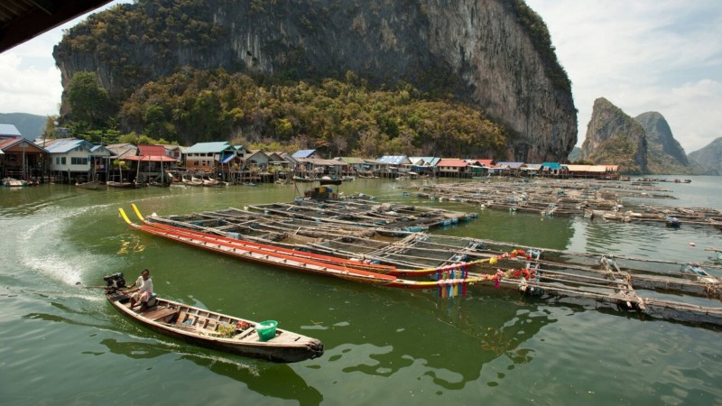 Learn About Local Traditions And Daily Life Of The Sea Gypsy Village At Koh Panyee