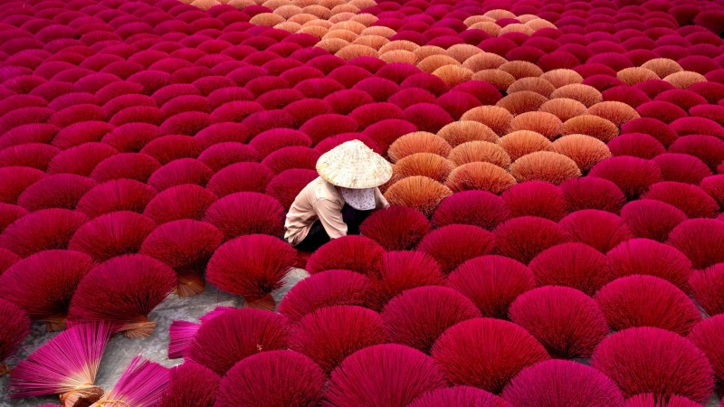 Day 4 Observe Locals Making Incense In Quang Phu Cau