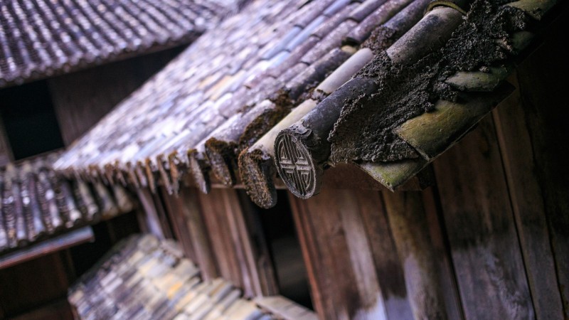 Day 3 Discover The H’mong King Palace A Fusion Of Culture, Authority, And Art