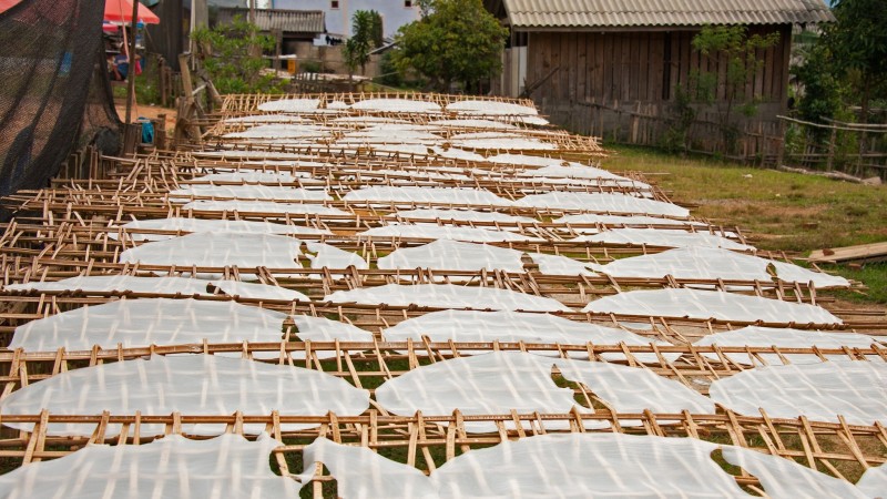 Day 11 Observe The Graceful Technique Of Rice Paper Made By Skillful Craftmans