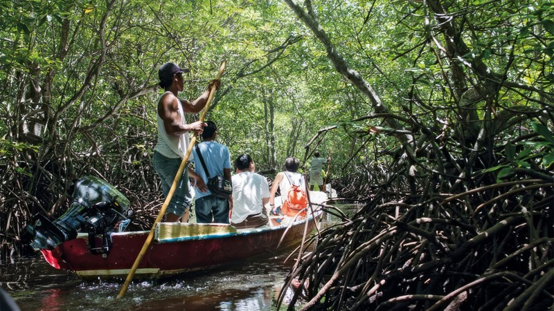 Day 2 Begin Your Journey To Can Gio Mangrove Biosphere Reserve With A Scenic Drive
