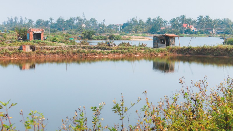 Breathe In The Fragrant Air As You Explore This Peaceful Organic Paradise