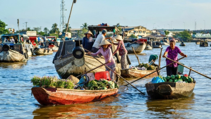 Day 15 Cai Rang Floating Market, bustling with boats selling fresh produce
