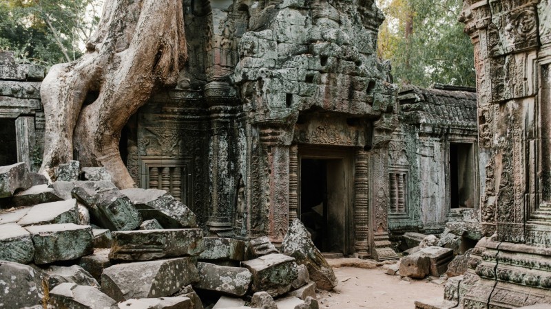 Day 7 Witness Nature Reclaiming Stone Walls At Ta Prohm Temple