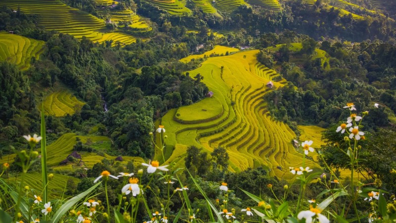 Timeless Wonders Of Southeast Asia 4 Weeks In Thailand, Vietnam & Cambodia