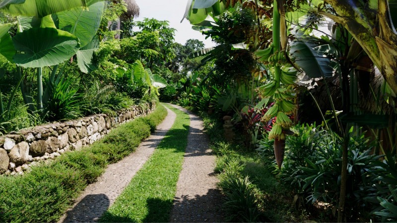 Day 3 Embrace Stillness With A Peaceful Walking Meditation At The Early Morning